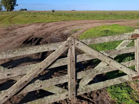 Campo en Venta Mixto