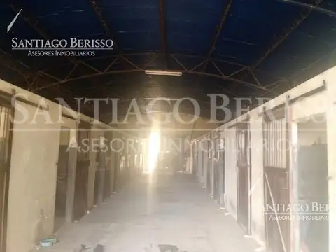 Exaltación de la Cruz