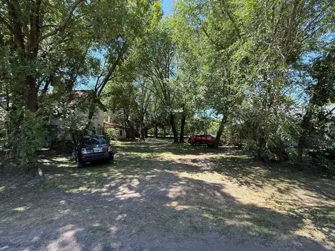 El Bosque