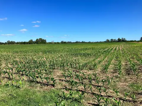Campo en Venta en Navarro, Partido de Navarro