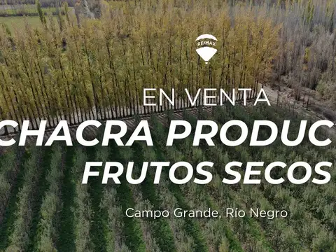 CHACRA PRODUCTIVA EN VENTA 29HA