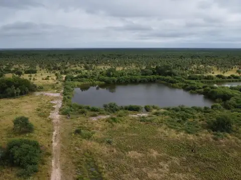 Campo, 2087 HECTAREAS,  GANADERA, LAGUNA GALLO, DEPARTAMENTO PILAGÁS, FORMOSA