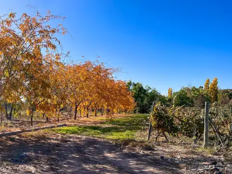 Terreno en Venta en Perdriel, USD 46.000