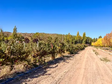 VENTA LOTE LUJAN PERDRIEL MENDOZA