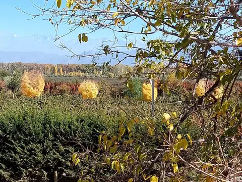 Terreno en Venta de 1000,0 m2