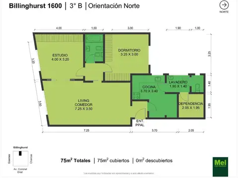 Billinghurst 1600, Piso 3