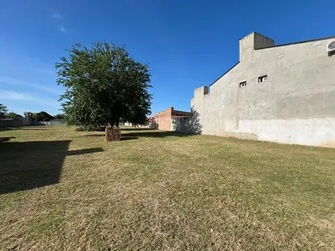 Terreno en Alquiler de 3000,0 m2