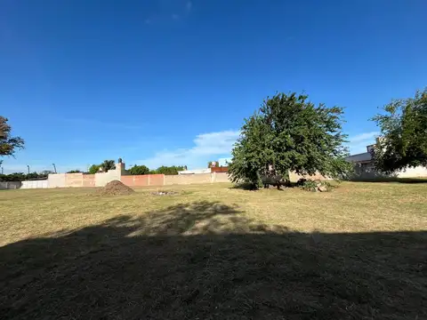 Terreno en Alquiler 100  mts Fondo