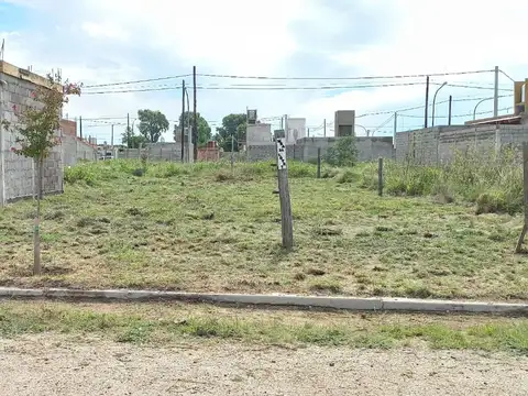 Calle Pública S/N