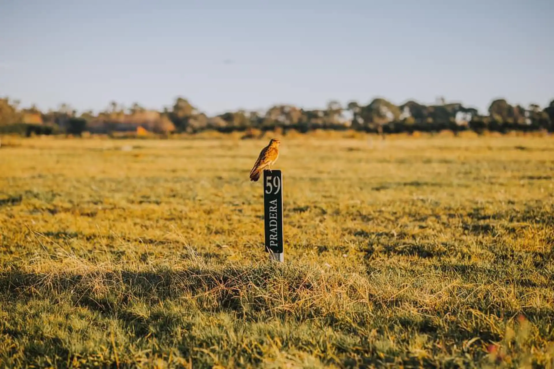 Terreno en Casonas del Haras, 632m² — Mar del Plata