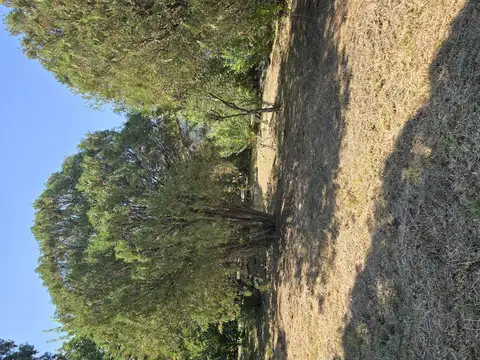 Quinta en Venta con 1 cochera