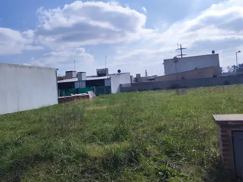 La Viudita y La Martineta
