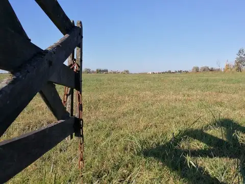 Terreno en Venta de 3909,0 m2