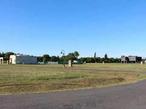 Carola Lorenzini  4651