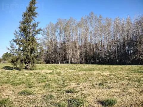 Venta. Terreno 8741 M2. Fracción Industrial. Parada Robles.