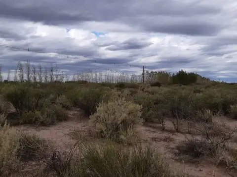 Calle Anzorena entre 10 y 11