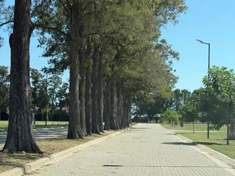 Terreno en Venta de 444,0 m2