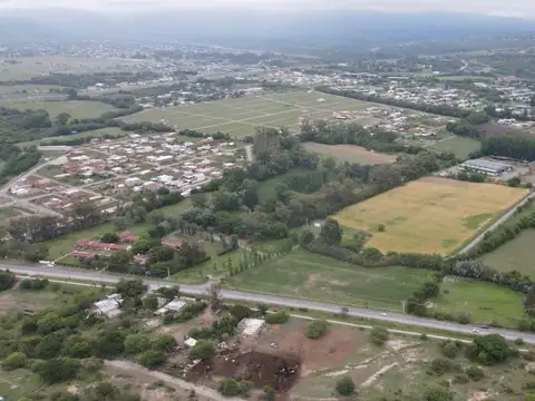 Ruta 99