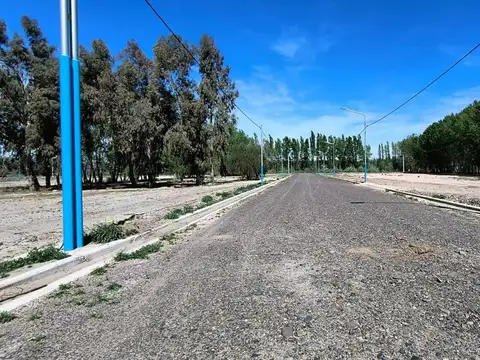 VENTA TERRENO EN LOTEO NUEVO ROCIO, CENTENARIO 