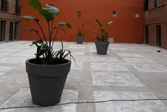 Emprendimiento - Entrega Mayo 2026