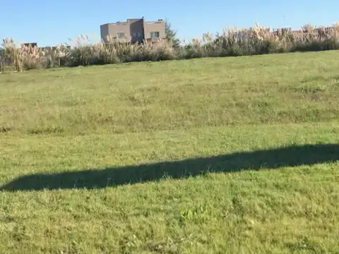 Terreno en Venta de 811,0 m2