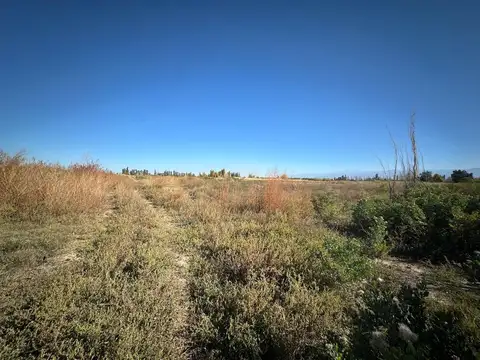 Terreno en Venta de 14510,0 m2