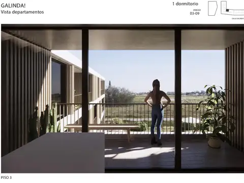 Galinda! Miguel Galindo y Picton, Funes