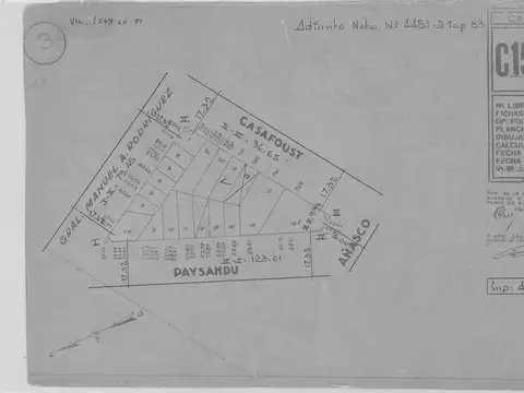 Terreno en Venta en Villa Crespo, USD 220.000