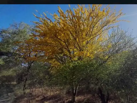 Venta de Chacra- San Francisco, San Luis