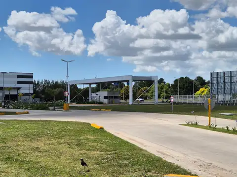 Galpón en Polo 226