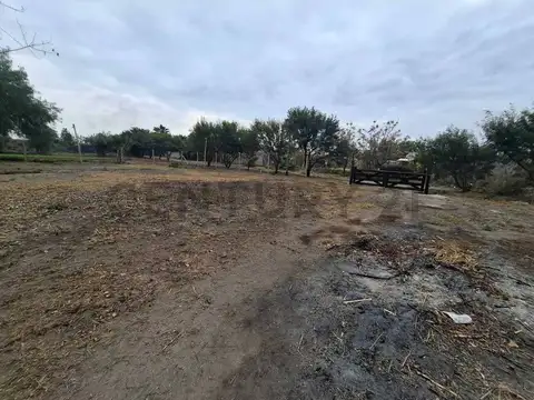 Parana
