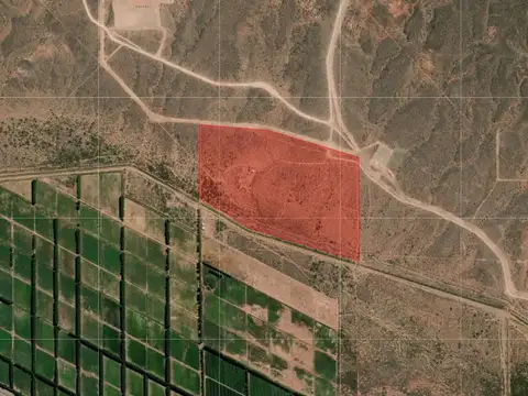 VENTA CAMPO 24.36has TRATAYEN AÑELO