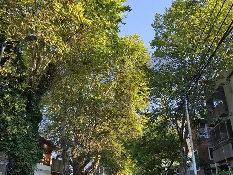 Terreno en Venta en Villa Ortuzar, Capital Federal