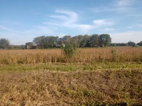 Terreno en Venta de 120000,0 m2