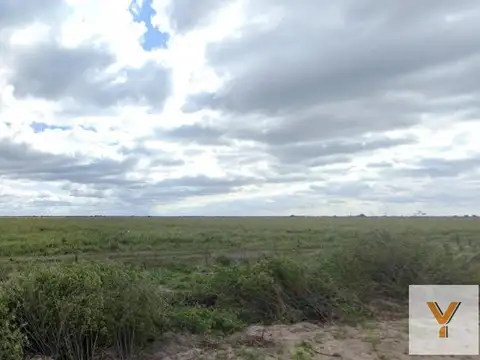 Ruta 77