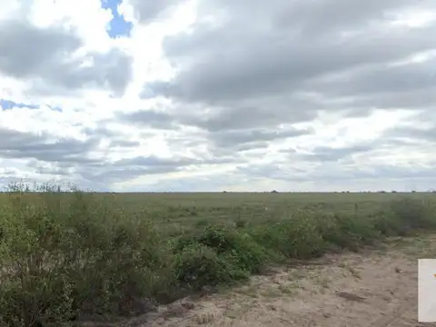Campo en venta - 2.490 Hectáreas - Santa Fe