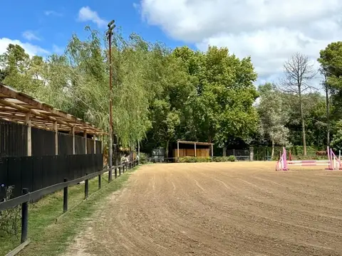 PALMA 900