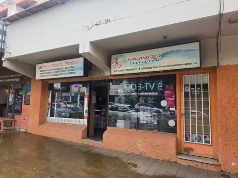 DEPARTAMENTO Y LOCALES EN VENTA EN LUJÁN CENTRO