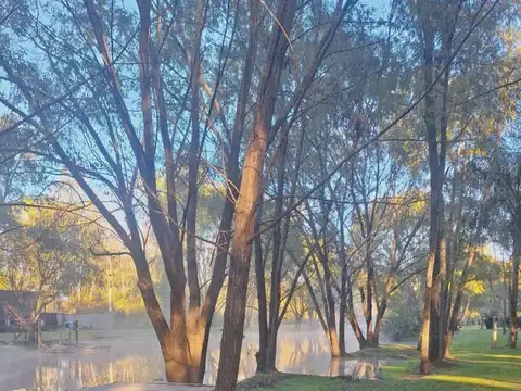 Terreno en Venta de 800,0 m2
