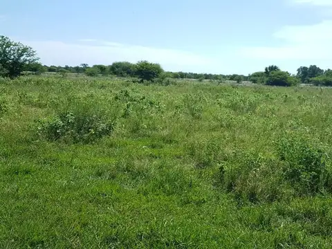 Campo grandioso en Argentina- Formosa- Patiño, Estanislao Del Campo