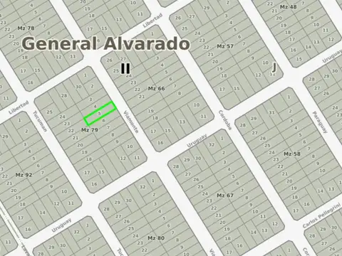Calle Viamonte, entre Libertad y Cerrito 100
