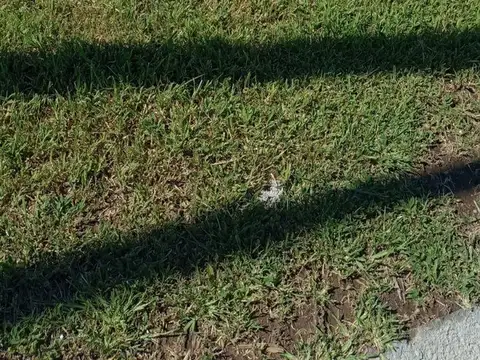 Manzana 90 lote 13, Docta Urbanizacion Inteligente 100