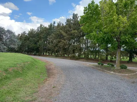 Terreno en Venta 50  mts Fondo