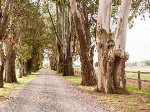 Terreno en Venta en La Reserva Cardales, USD 25.000