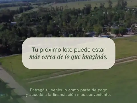 Campos de Amelia