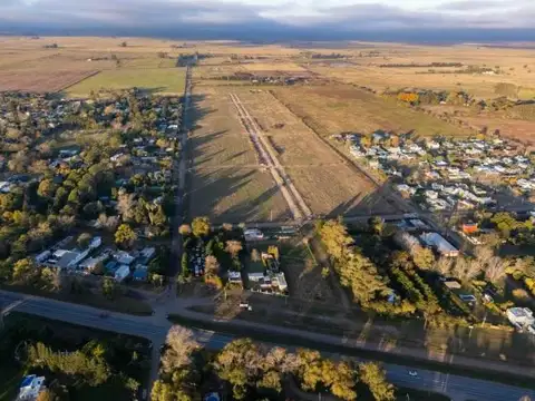Campos de Amelia