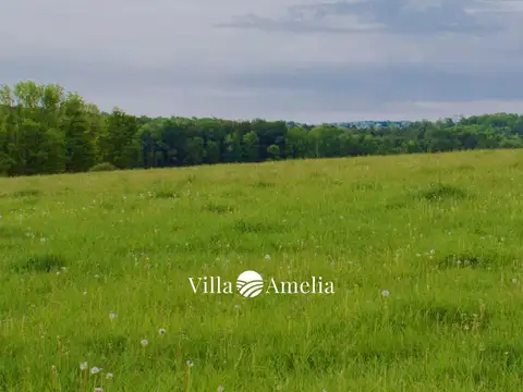 Terreno en Venta de 440,0 m2