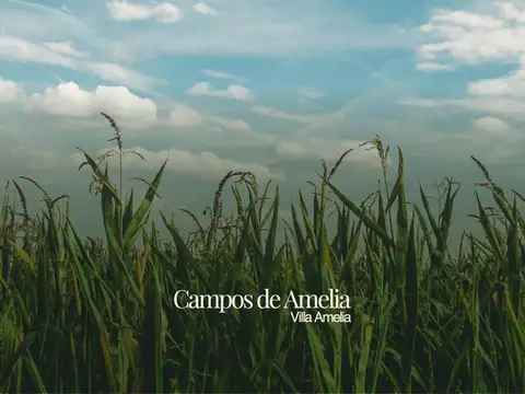 Terreno en Villa Amelia