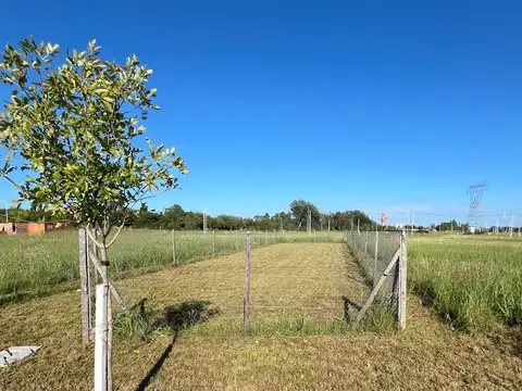 Terreno en Venta en Ibarlucea, USD 17.500