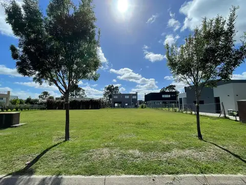 Terreno en Santo Tomás